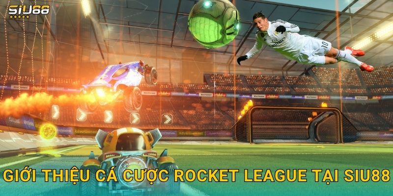 Rocket League Siu88 - Cá Cược Bóng Đá Xe Hơi 2 Giới thiệu cá cược Rocket League tại Siu88