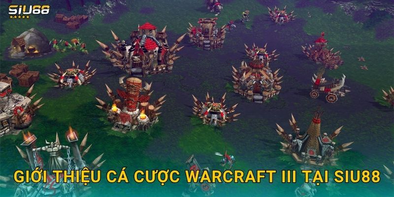 Giới thiệu cá cược Warcraft III tại Siu88