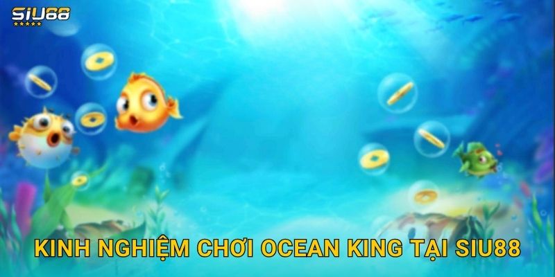Ocean King Siu88 - Vua Đại Dương Thưởng Khủng 3 Kinh nghiệm chơi Ocean King tại Siu88